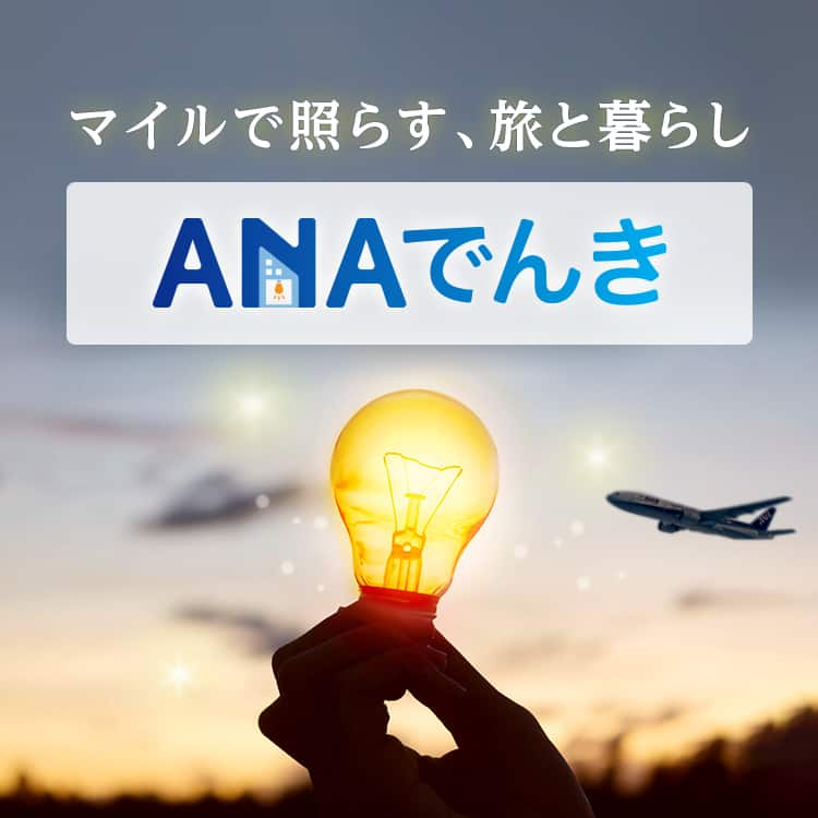 マイルで照らす、旅と暮らし　ANAでんき