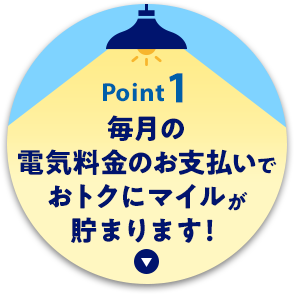 Point1　毎月の電気料金のお支払いでおトクにマイルが貯まります！