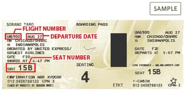 The information that must be entered FLIGHT NUMBER, DEPARTURE DATE, SEAT NUMBER.