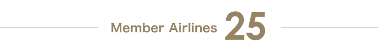 Member Airlines 25