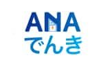 ANA ELECTRIC POWER