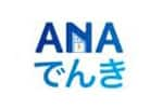 ANA ELECTRIC POWER