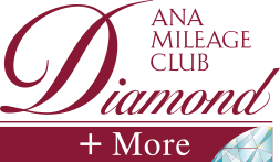 Diamond Service + More Benefits