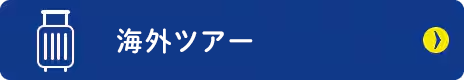 海外ツアー