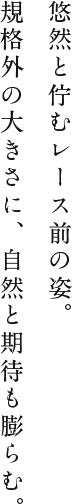 悠然と佇むレース前の姿。規格外の大きさに、自然と期待も膨らむ。