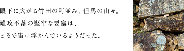 眼下に広がる竹田の町並み、但馬の山々。難攻不落の堅牢な要塞は、まるで宙に浮かんでいるようだった。