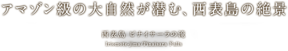 アマゾン級の大自然が潜む、西表島の絶景 西表島 ピナイサーラの滝 Iriomote-jima/Pinaisara Falls