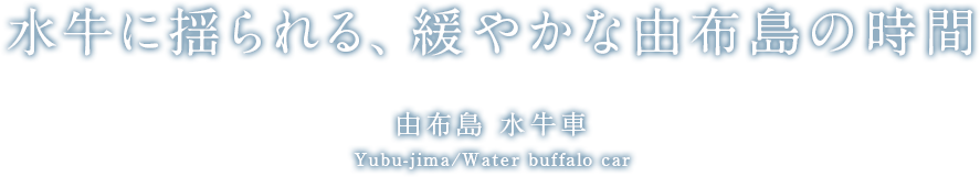 水牛に揺られる、緩やかな由布島の時間 由布島 水牛車 Yubu-jima/Water buffalo car