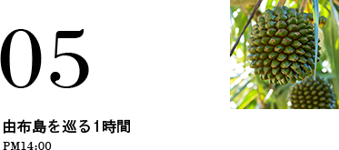 05 由布島を巡る1時間 PM14:00