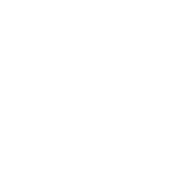 TEAM ANA 翼に乗せたメッセージ