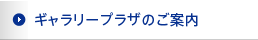 ギャラリープラザのご案内