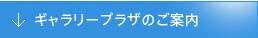 ギャラリープラザのご案内