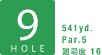 9HOLE