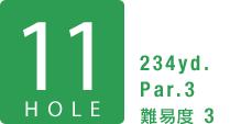 11HOLE