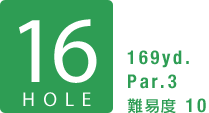 16HOLE