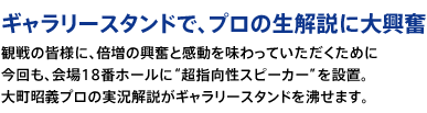 ギャラリースタンドで、プロの生解説に大興奮。