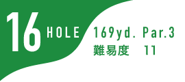16HOLE