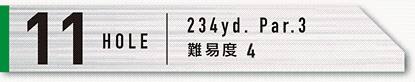 11HOLE