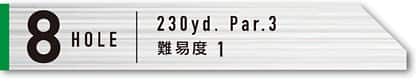 8HOLE