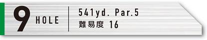 9HOLE