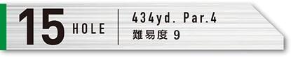 15HOLE