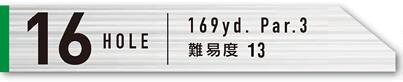 16HOLE