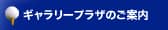 ギャラリープラザのご案内