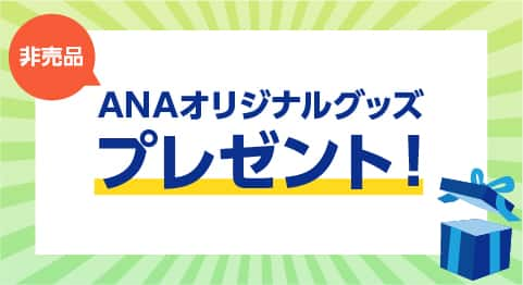 ANAオリジナルグッズのイメージ