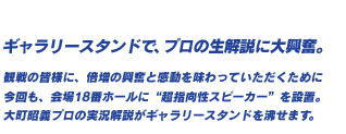 ギャラリースタンドで、プロの生解説に大興奮。