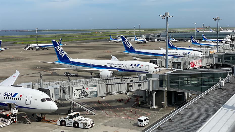 Image of the apron where several ANA airplanes are parked.