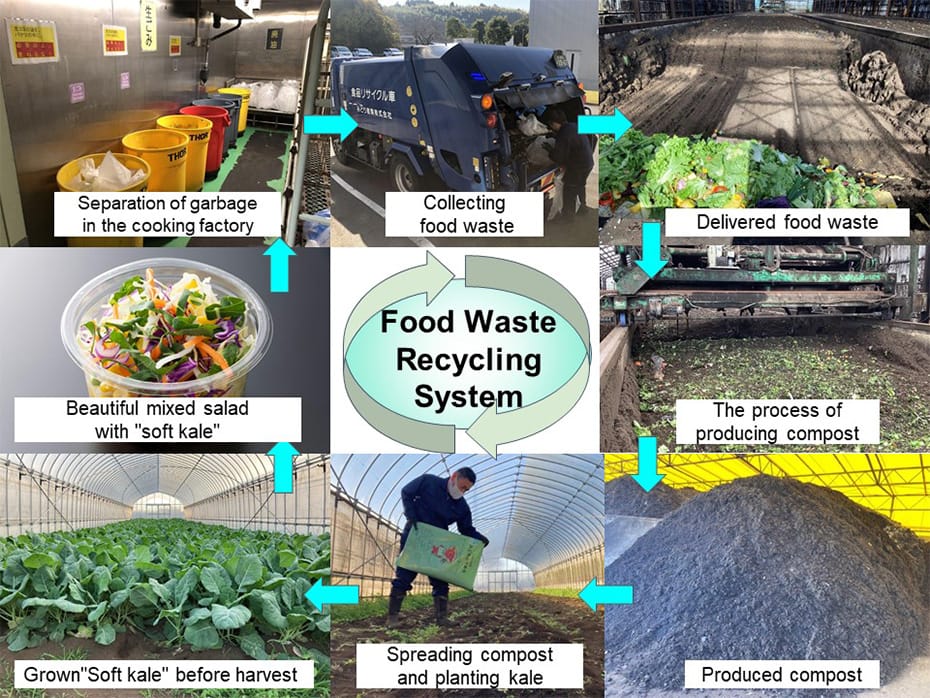 Food waste recycling system