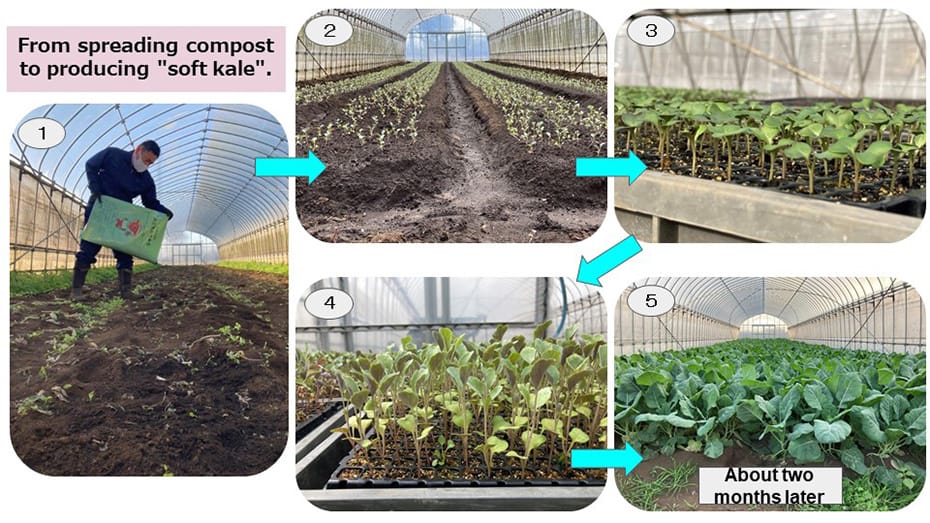 From spreading compost to producing "soft kale"