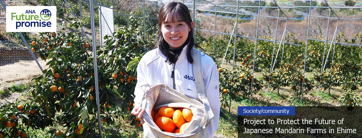 ANA Future promise Society/Community Project to Protect the Future of Japanese Mandarin Farms in Ehime