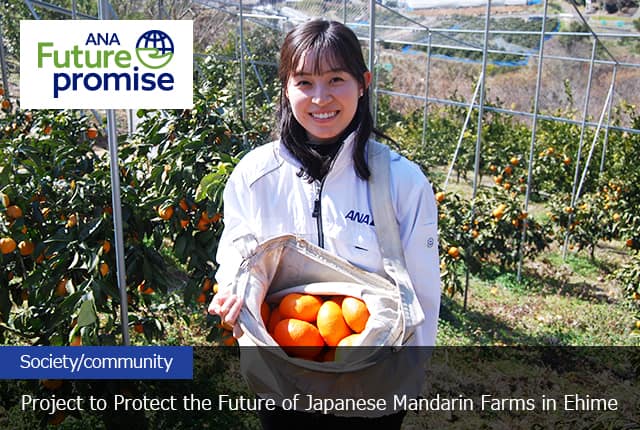 ANA Future promise Society/Community Project to Protect the Future of Japanese Mandarin Farms in Ehime