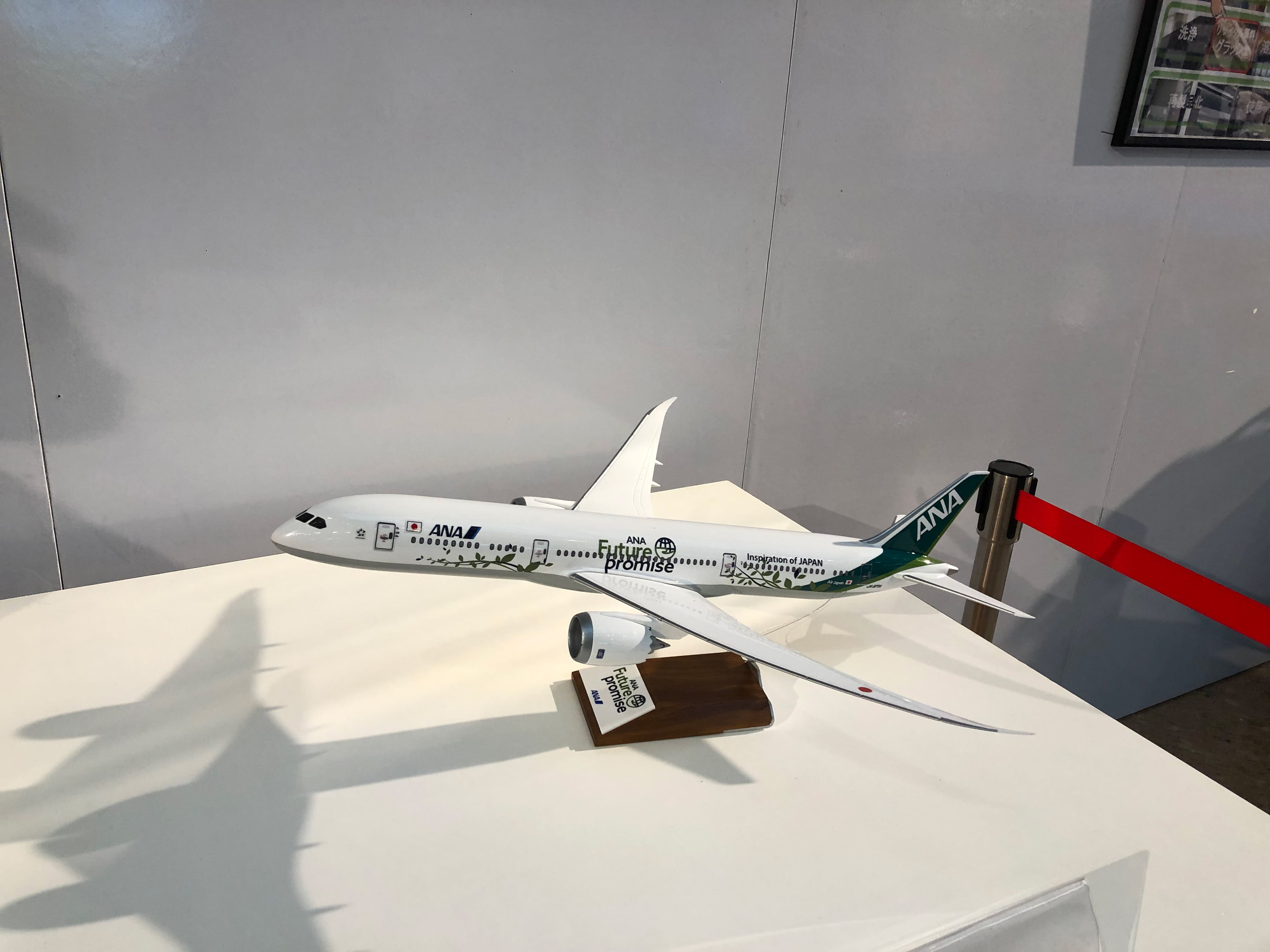 ANA Green Jet model plane with a distinctive green tail wing is on display