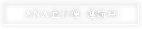 ANA直行便、運航中！