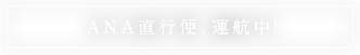 ANA直行便、運航中！