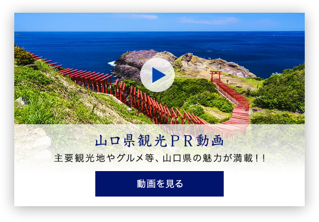 山口県観光PR動画 主要観光地やグルメ等、山口県の魅力が満載!! 動画を見る