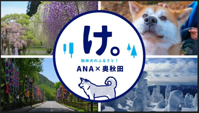 け。秋田犬のふるさと！ANA×奥秋田