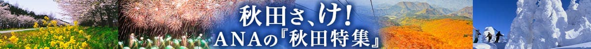 秋田さ、け！ANAの「秋田特集」