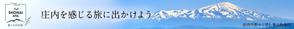 感じる庄内旅 庄内を感じる旅に出かけよう 庄内平野から望む春の鳥海山