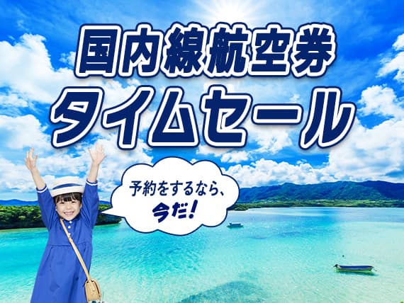 国内線航空券タイムセール　予約をするなら、今だ！