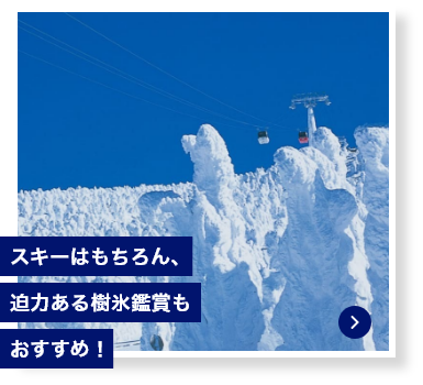 スキーはもちろん、迫力ある樹氷鑑賞もおすすめ！