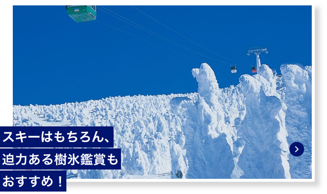 スキーはもちろん、迫力ある樹氷鑑賞もおすすめ！