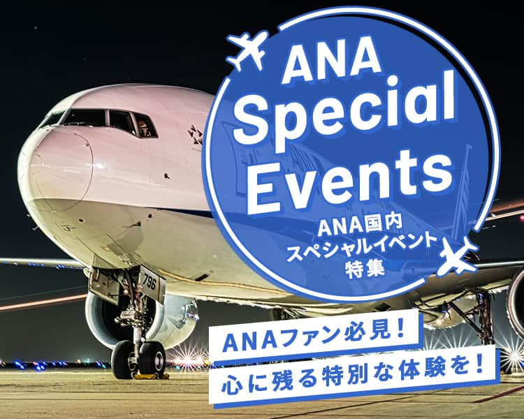 ANA Special Events　ANA 国内スペシャルイベント特集　ANAファン必見！心に残る特別な体験を！ 夜の飛行機撮影会のイメージ写真1