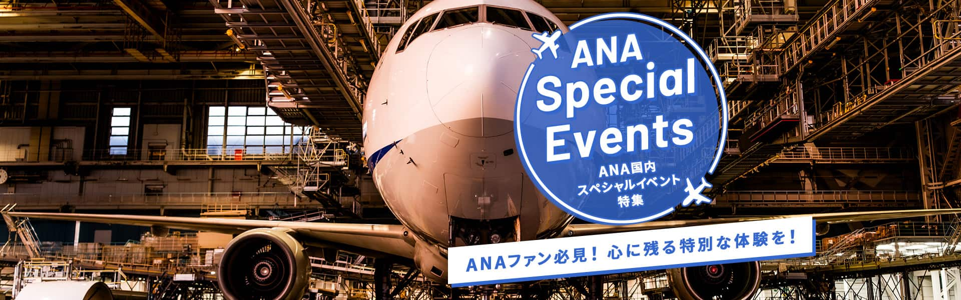 ANA Special Events　ANA 国内スペシャルイベント特集　ANAファン必見！心に残る特別な体験を！ 夜の飛行機撮影会のイメージ写真2