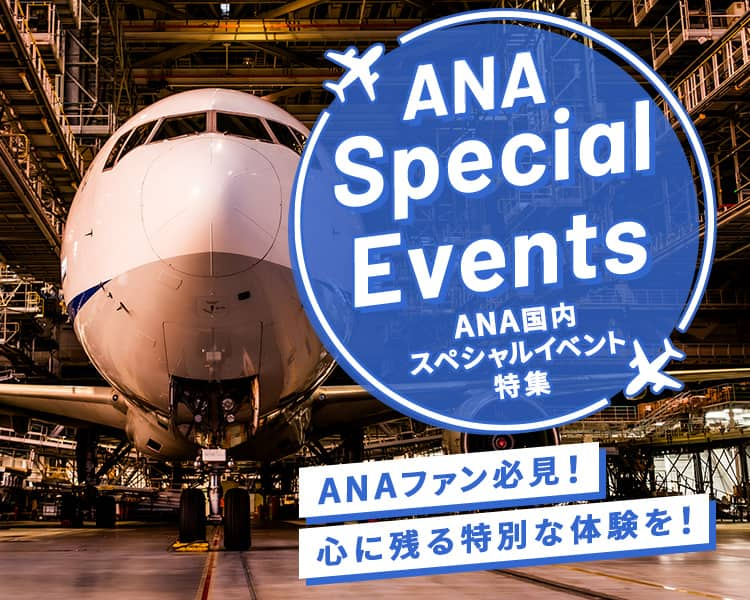 ANA Special Events　ANA 国内スペシャルイベント特集　ANAファン必見！心に残る特別な体験を！ 夜の飛行機撮影会のイメージ写真2