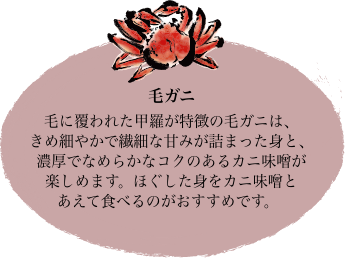 毛ガニ 毛に覆われた甲羅が特徴の毛ガニは、きめ細やかで繊細な甘みが詰まった身と、濃厚でなめらかなコクのあるカニ味噌が楽しめます。ほぐした身をカニ味噌とあえて食べるのがおすすめです。