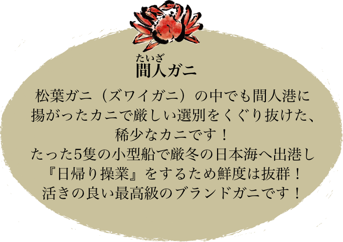 間人(たいざ)ガニ 松葉ガニ(ズワイガニ)の中でも間人港に揚がったカニで厳しい選別をくぐり抜けた稀少なカニです！たった5隻の小型船で厳冬の日本海へ出向し「日帰り操業」をするため鮮度は抜群！活きの良い最高級のブランドガニです！