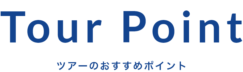  ツアーのおすすめポイント